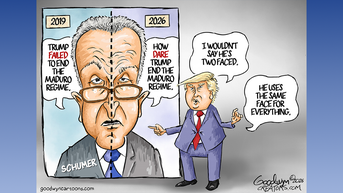 Political cartoons of the day - Fox News