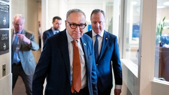 Schumer vows to restore DOGE cuts and go even higher on federal program funding levels - Fox News