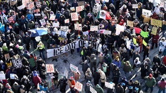 Twin Cities museums slam their doors and take sides in 'ICE-Out' strike - Fox News