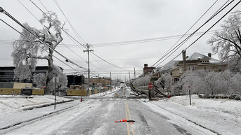 Powerlines - Fox News