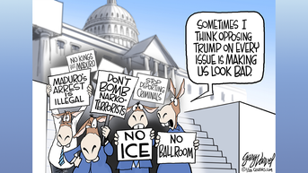 Political cartoons of the day - Fox News