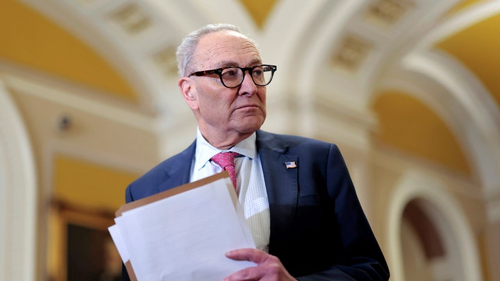 Democrats flip on government funding after border agent fatally shoots Minnesota man - Fox News