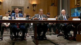 WATCH LIVE: Minnesota officials testify before Senate committee - Fox News