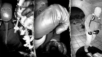 Footage of masked individual should spark more visible police activity: former FBI agent - Fox News