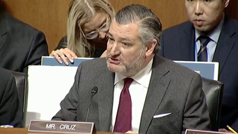 Republicans, Ted Cruz unleash in 'Minnesota fraud and beyond' hearing - Fox News