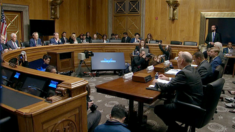 WATCH LIVE: Minnesota officials testify before Senate committee - Fox News