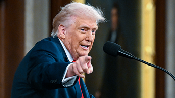 Trump's 'these people are crazy' comment resonates with voters ahead of midterms - Fox News