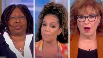 Financial expert stuns 'View' windbags by saying the obvious to their faces - Fox News