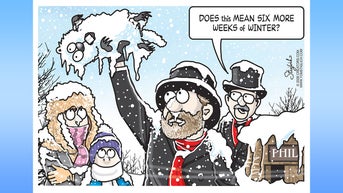 Political cartoons of the day - Fox News