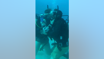 Couple gets engaged 100 feet underwater - Fox News