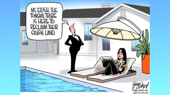 Political cartoons of the day - Fox News