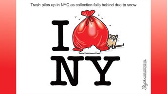 Political cartoons of the day - Fox News