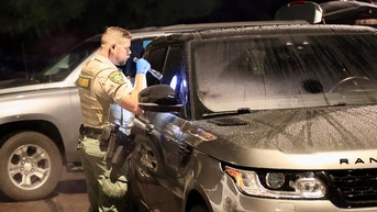 'Our person of interest' was detained and released, sheriff says - Fox News