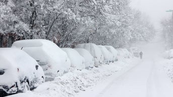 Trees down, roads blocked and flights disrupted as monster blizzard batters Northeast - Fox News