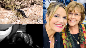 Authorities not back at square one without initial DNA match, ex-FBI agent says - Fox News