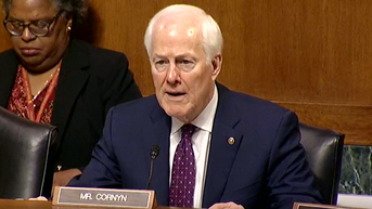 Senate probes Somali fraud allegations as Cornyn weighs in - Fox News