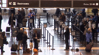 Wild airport checkpoint finds expose what travelers attempted to bring on board - Fox News