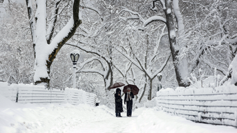 People with umbrellas - Fox News