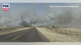 Deadly storm sparks raging wildfire outbreak, major evax underway - Fox News