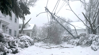 Downed power line - Fox News