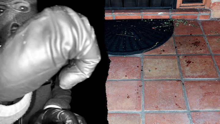 Blood droplets found at house; FBI releases bombshell video as Savannah Guthrie speaks out - Fox News