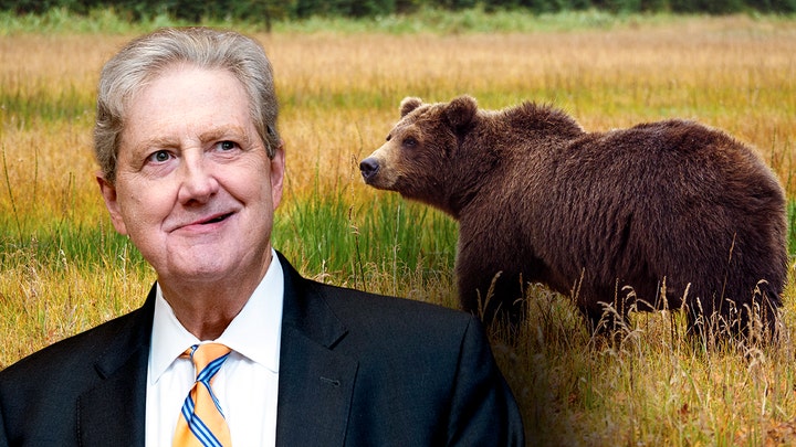 Senator Kennedy claims 'grizzly' bear in the Oval Office took the win on tariffs - Fox News