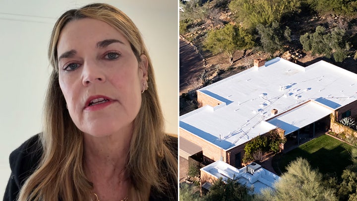 Savannah Guthrie makes plea to public as ransom deadline nears: 'We need your help' - Fox News