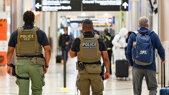 Republican pushes decade-long ICE funding plan to bypass Democrats forever - Fox News