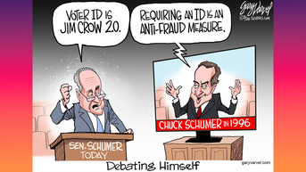 Political cartoons of the day - Fox News