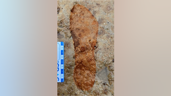 Dog walkers discover ANCIENT footprints - Fox News