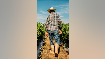 Parkinson's RISK rises with chemical exposure - Fox News