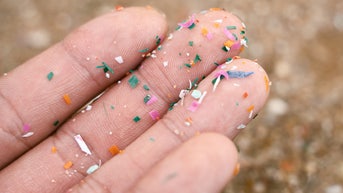 Scientists make startling discovery when examining prostate cancer tissue - Fox News