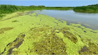 Four earthquakes strike this state in under 10 minutes, days after largest ever - Fox News