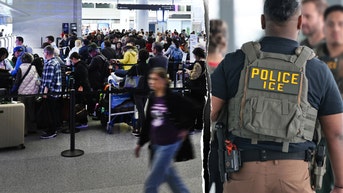 Dems' 'Sacramento mother' narrative about viral ICE arrest backfires after new details surface - Fox News