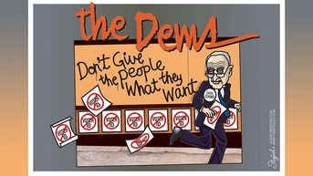 Political cartoons of the day - Fox News