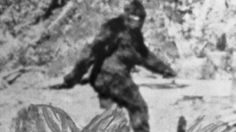 Bigfoot sighting near Myrtle Beach reported by police veteran, two others - Fox News