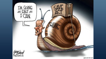 Political cartoons of the day - Fox News