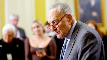 Schumer shifts shutdown blame after Senate greenlights DHS funding bill - Fox News