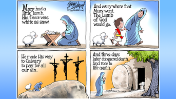 Political cartoons of the day - Fox News