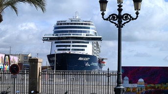 Frightening moment aboard cruise ship leaves child hospitalized in tourist hot spot - Fox News