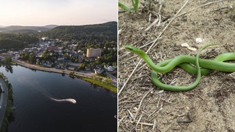 5 states with some of the most snake-filled waters in the nation may shock you - Fox News