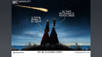 Political cartoons of the day - Fox News