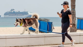 Debate erupts among travelers as cruise line allows dogs and cats on board - Fox News