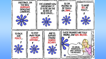 Caricaturas políticas del día - Fox News