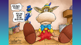Political cartoons of the day - Fox News