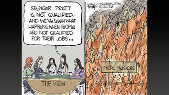 Political cartoons of the day - Fox News