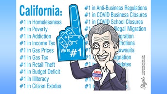 Political cartoons of the day - Fox News