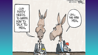 Political cartoons of the day - Fox News