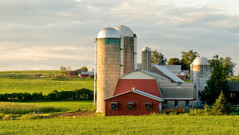 Dangerous rodent-borne virus detected at high levels in agricultural region - Fox News