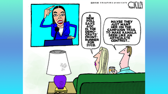 Political cartoons of the day - Fox News
